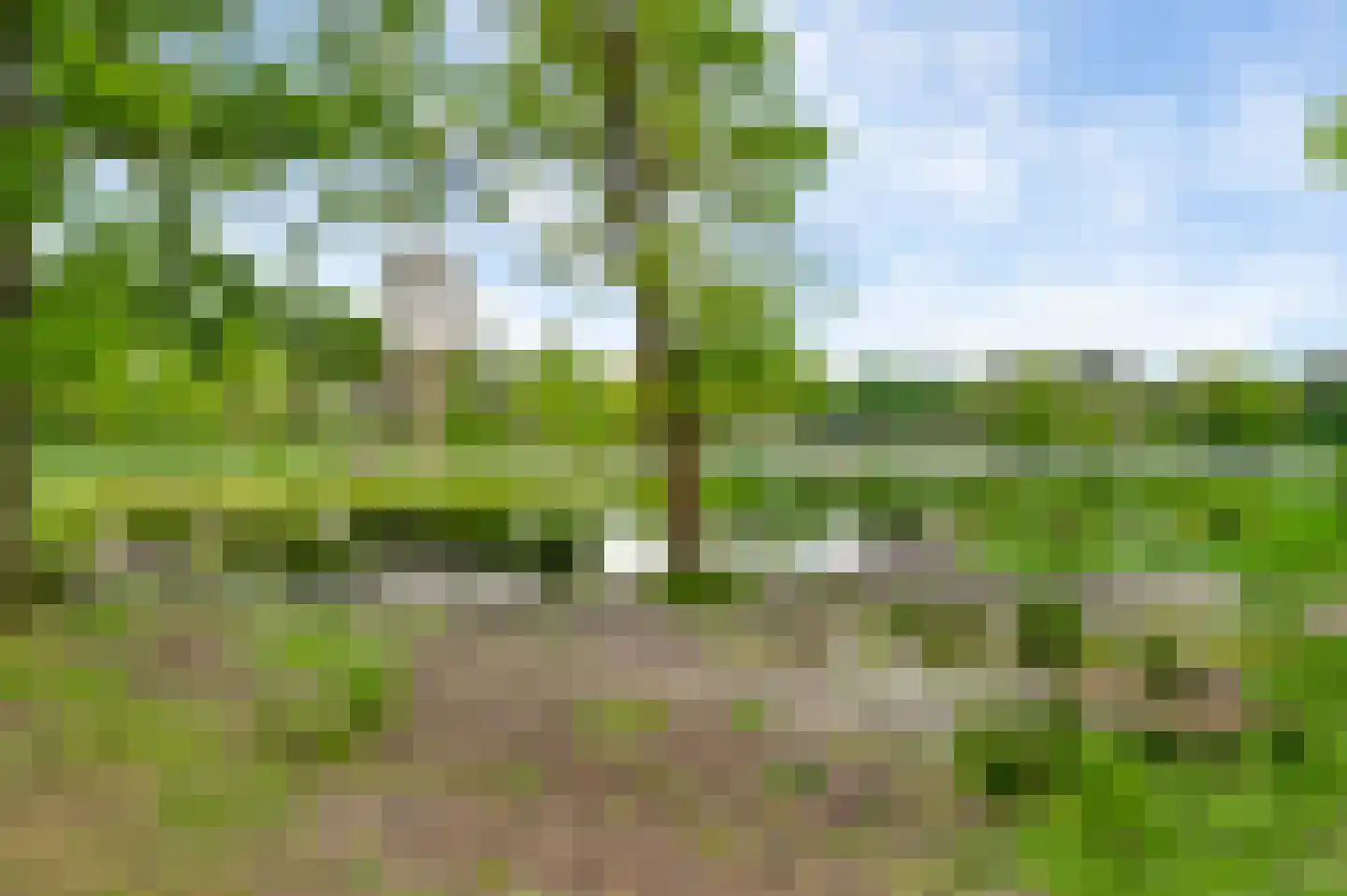 Lochtstraat 26 R 69 Stramproy thumbnail 18