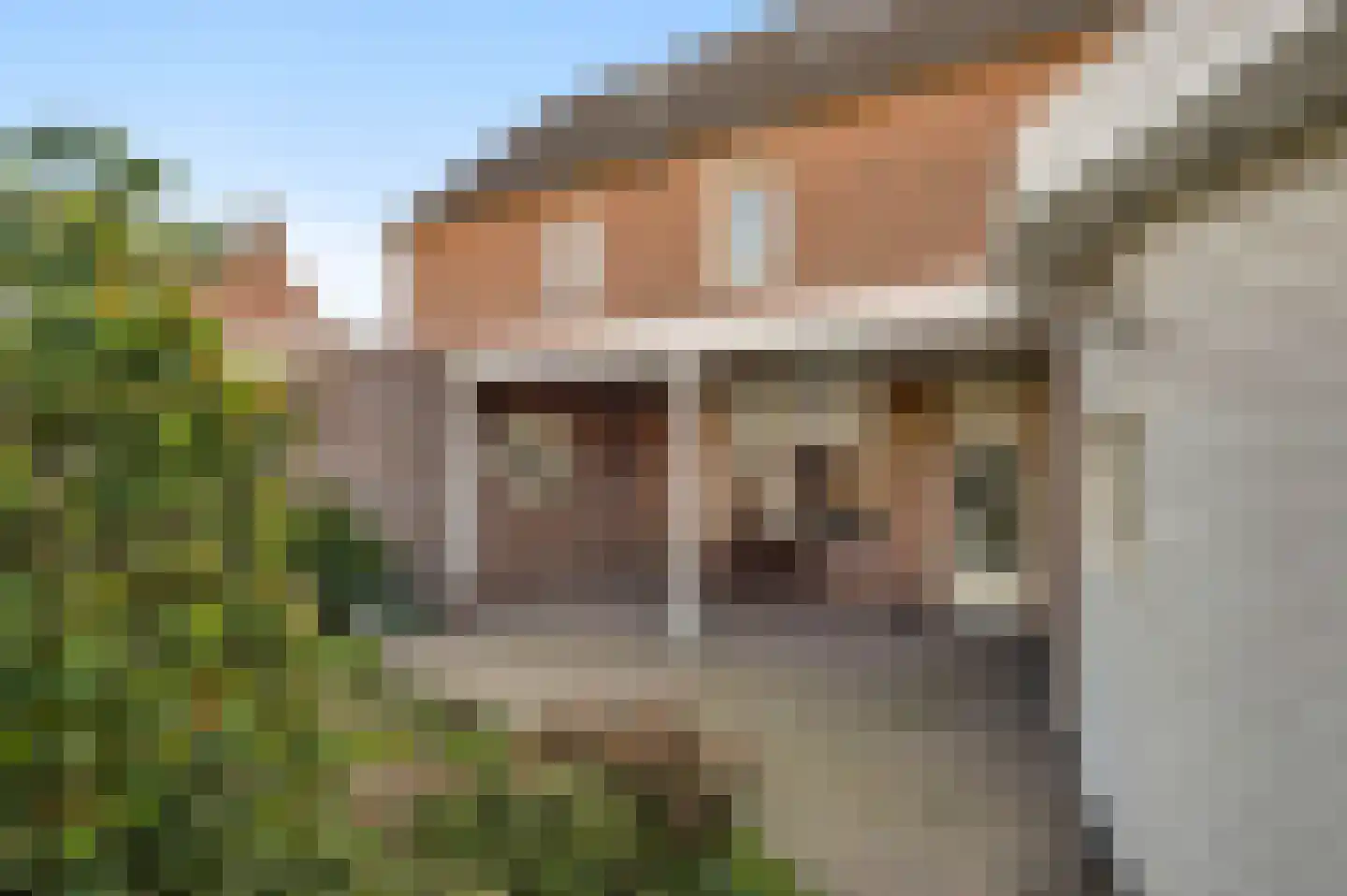 Lochtstraat 27 Ospel thumbnail 22