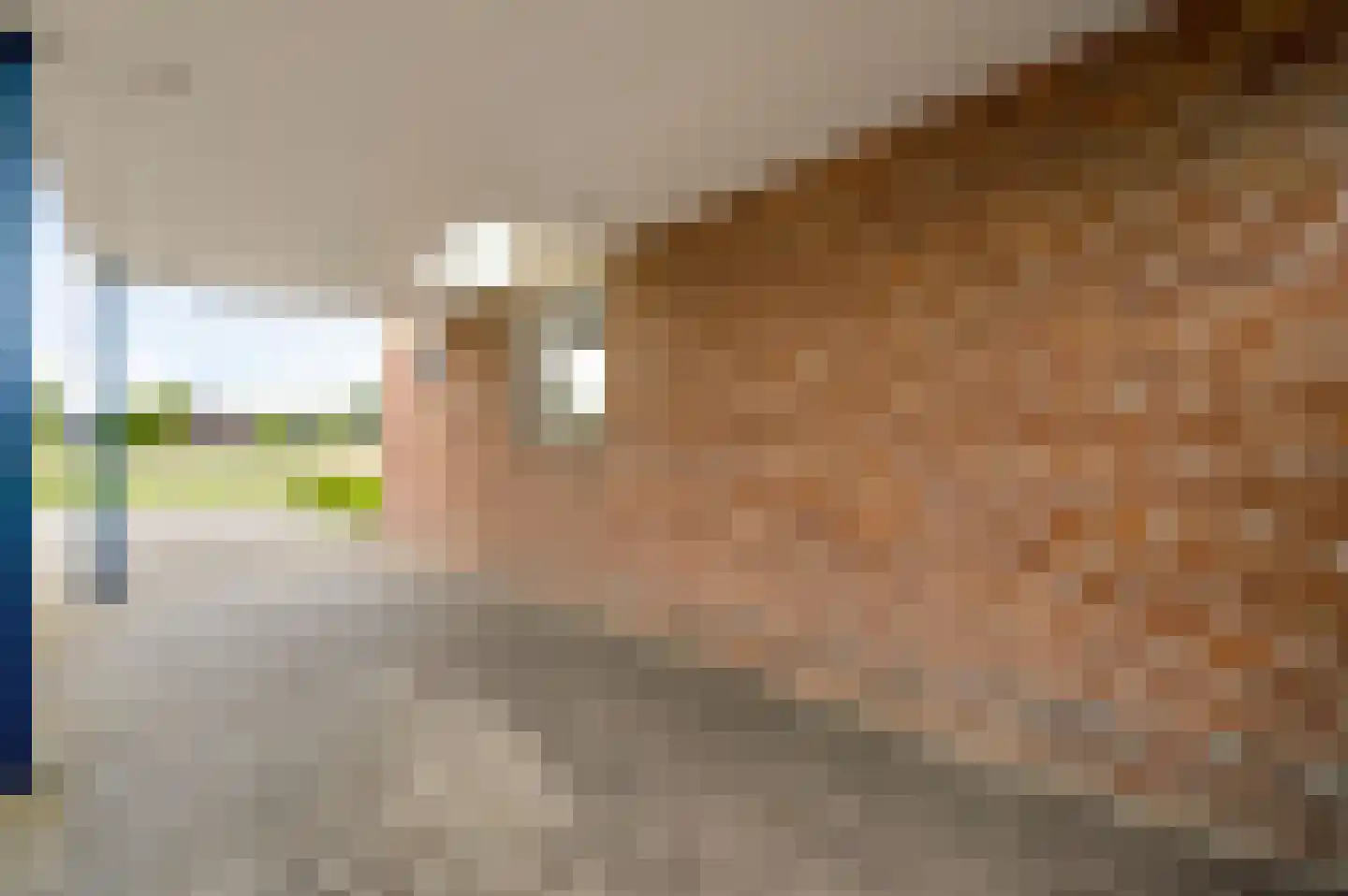 Lochtstraat 35 Melderslo thumbnail 10