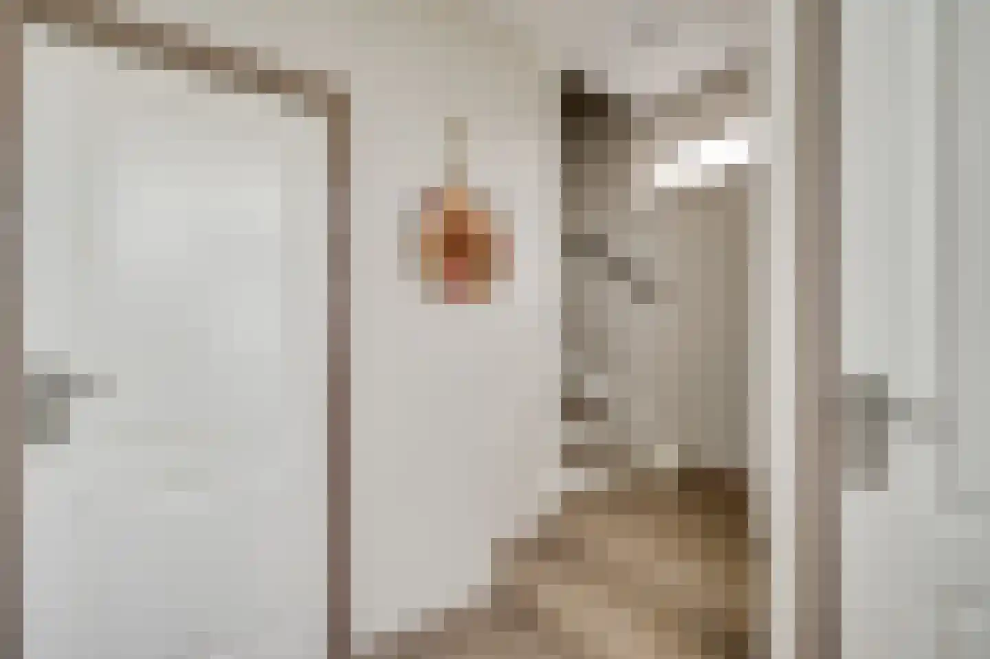 Lochtstraat 35 Melderslo thumbnail 11