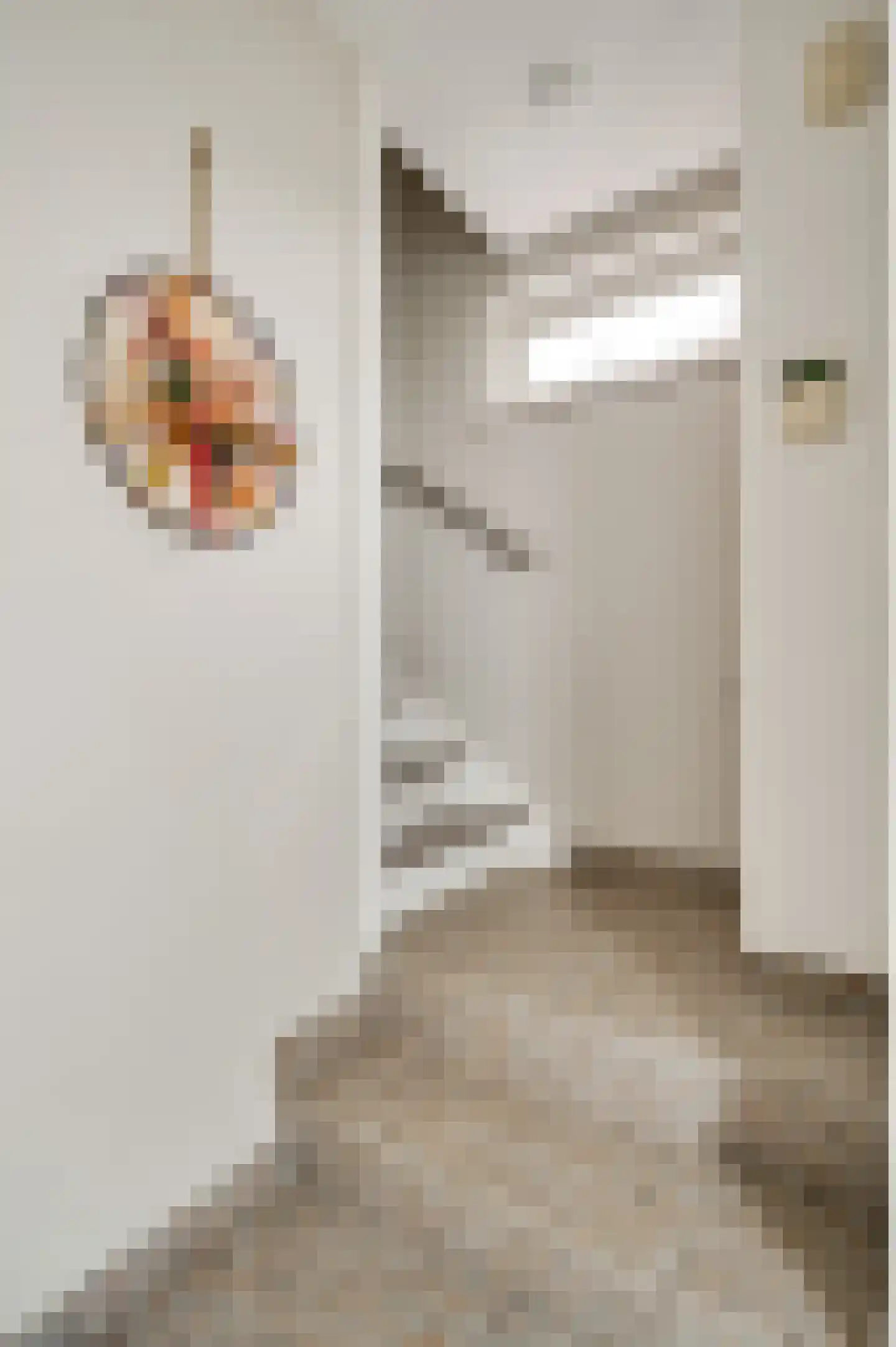 Lochtstraat 35 Melderslo thumbnail 13