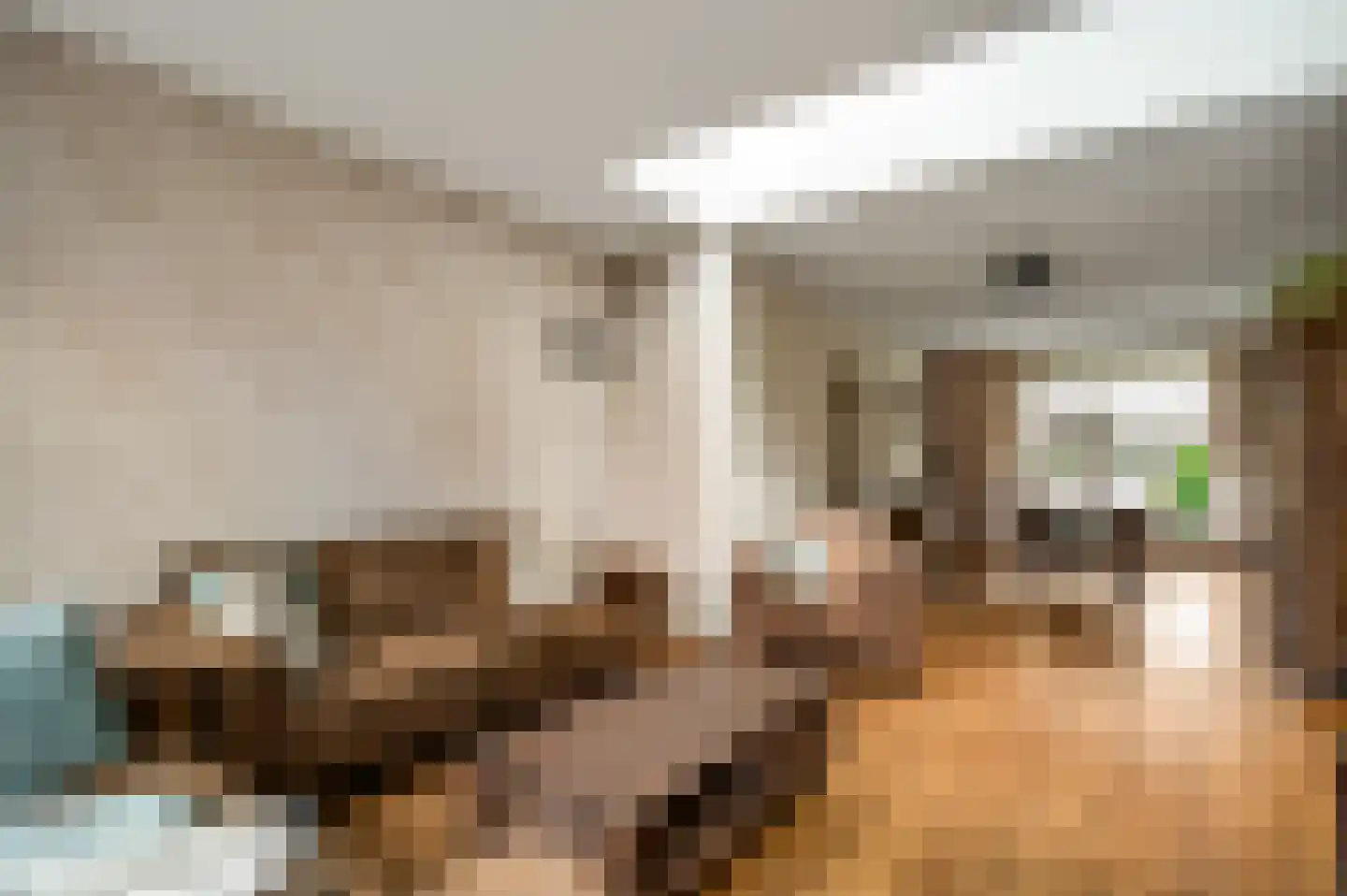 Lochtstraat 35 Melderslo thumbnail 17