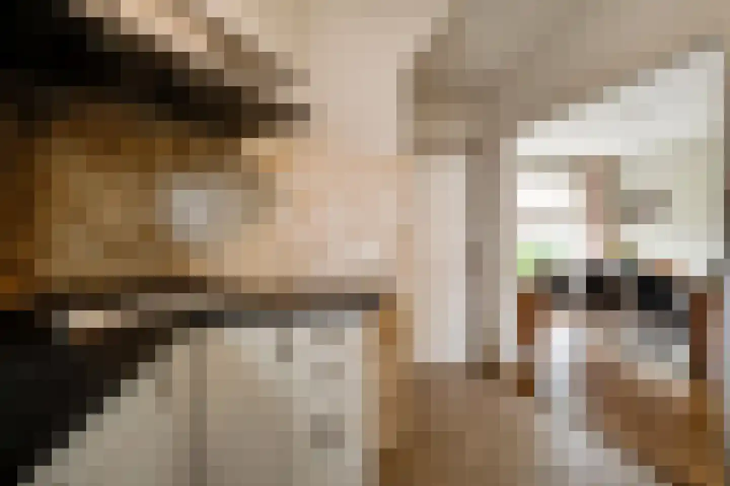Lochtstraat 35 Melderslo thumbnail 23