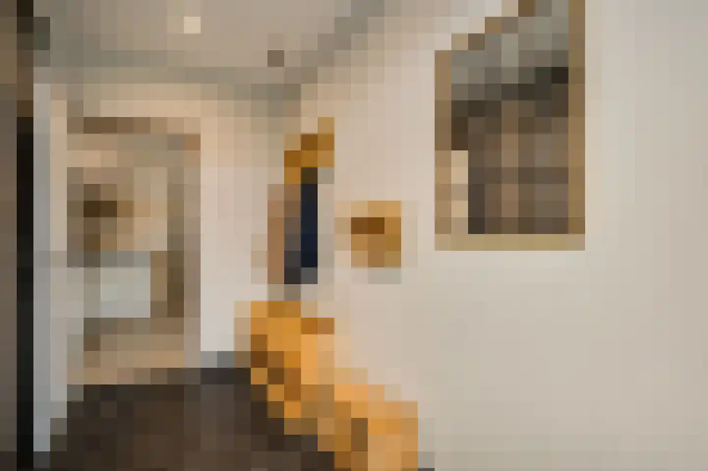 Lochtstraat 35 Melderslo thumbnail 25