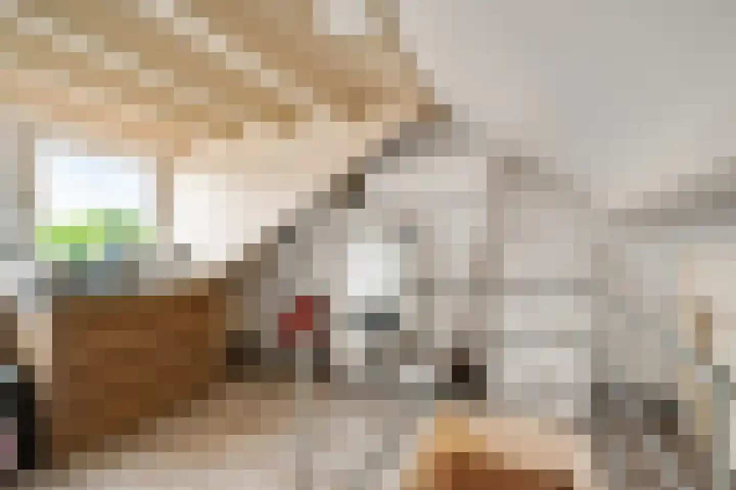 Lochtstraat 35 Melderslo thumbnail 34