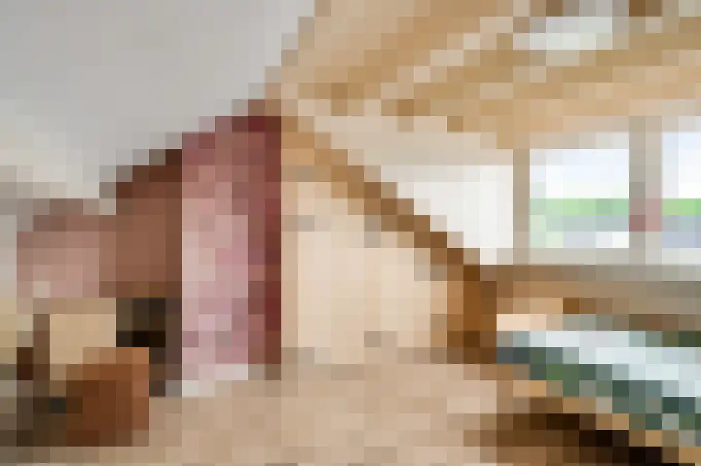 Lochtstraat 35 Melderslo thumbnail 35