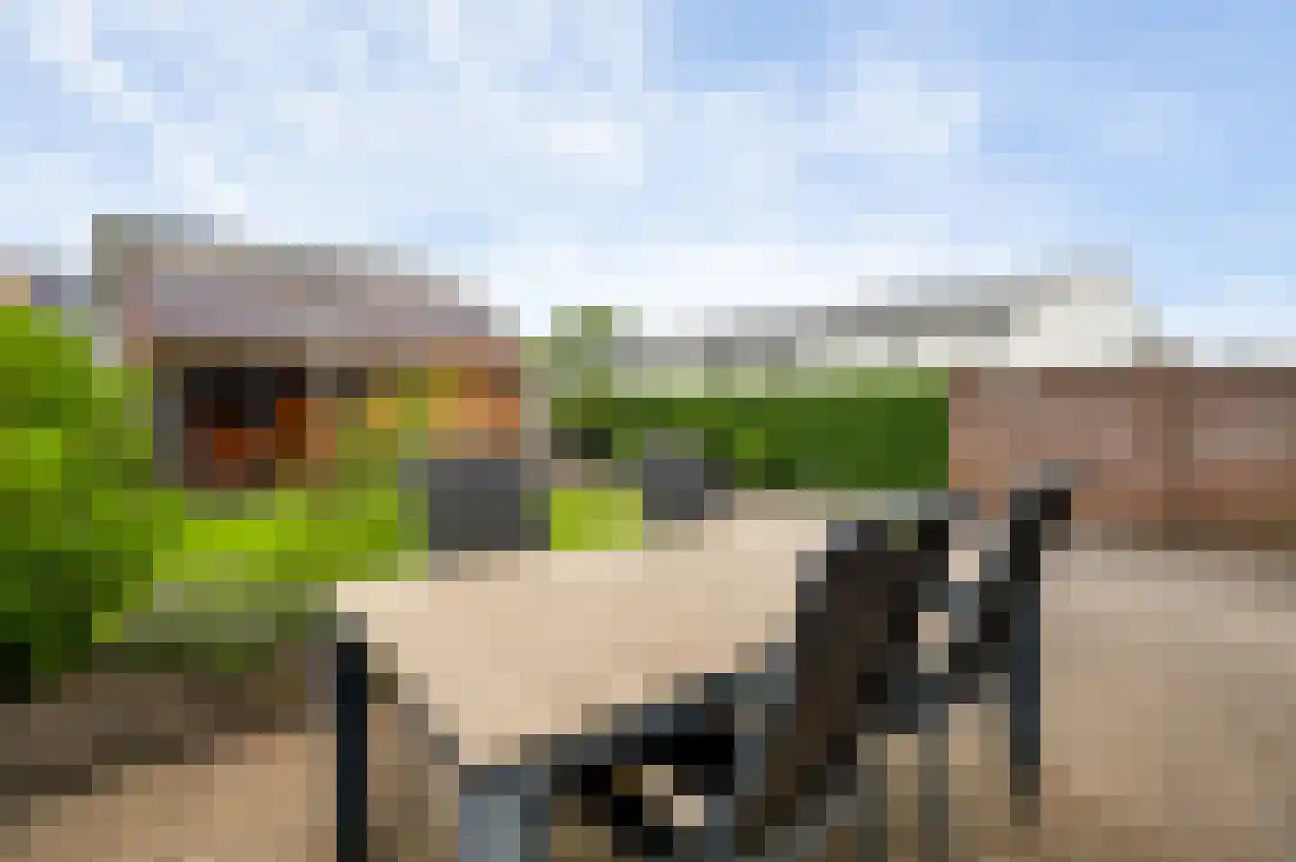 Lochtstraat 35 Melderslo thumbnail 38