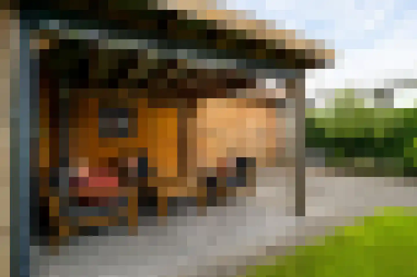 Lochtstraat 35 Melderslo thumbnail 40