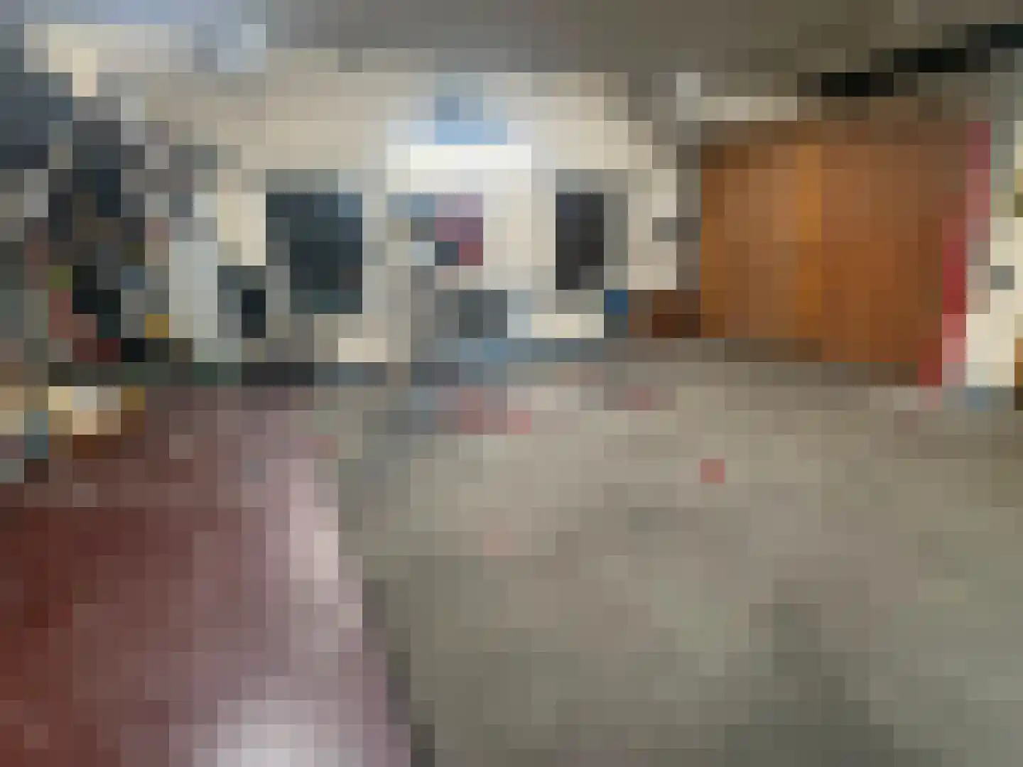 Lochtstraat 35 Melderslo thumbnail 43