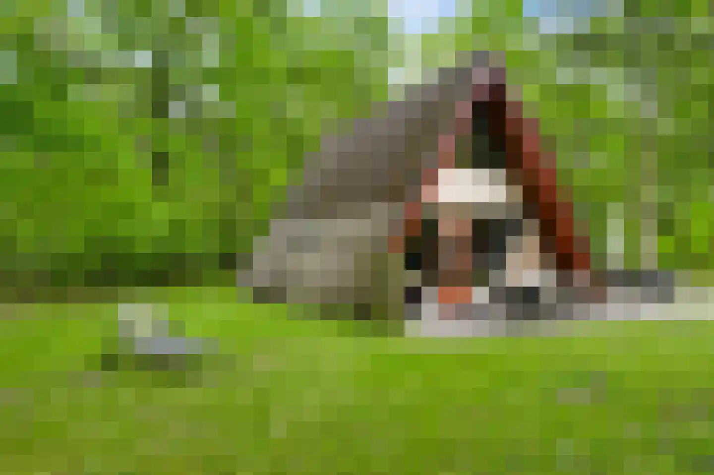 Lochtstraat 68 R 61 Stramproy thumbnail 32