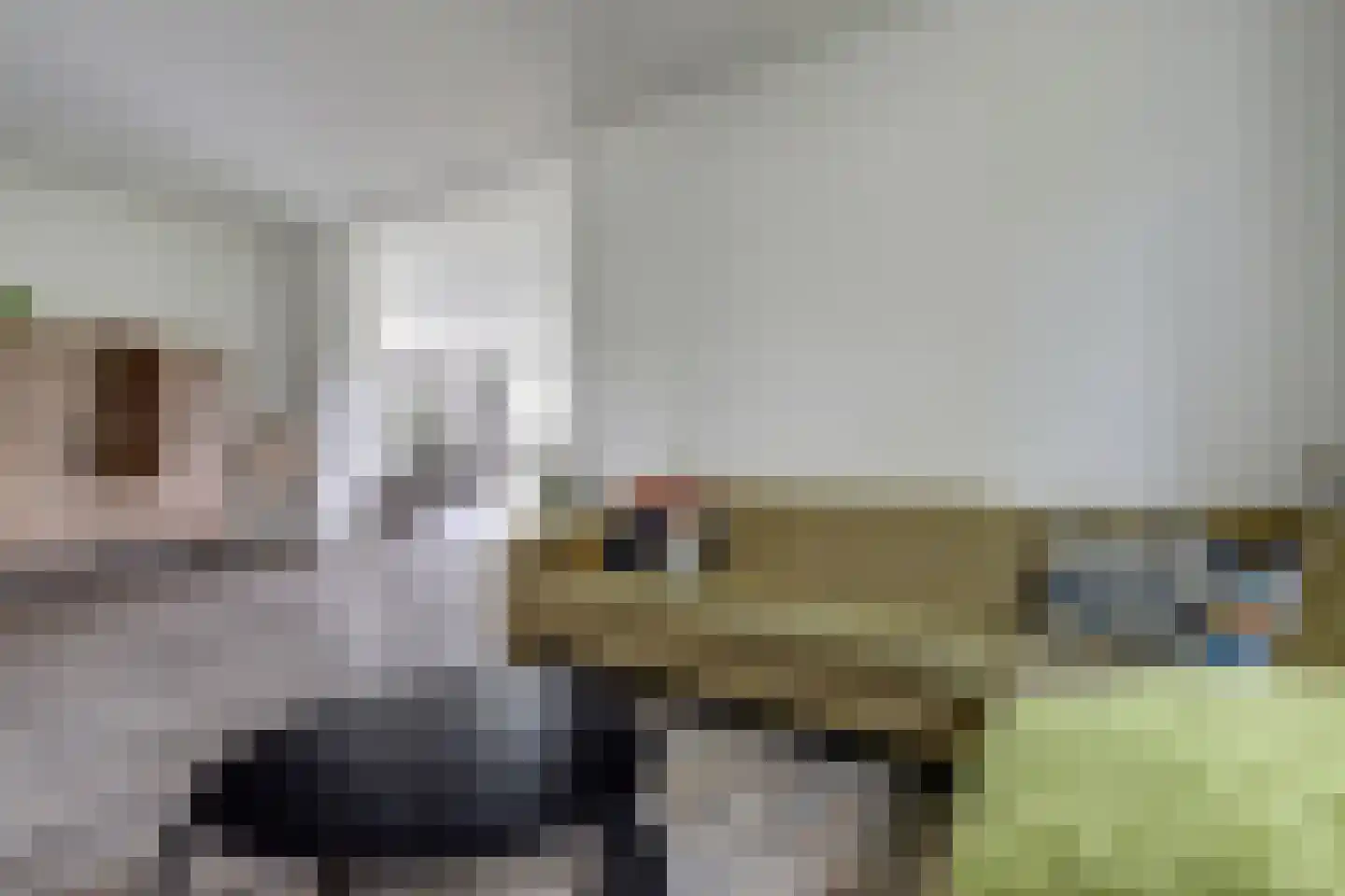 Lockandsestraat 3 Beers NB thumbnail 16