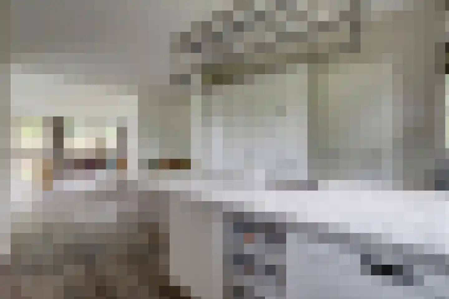Lockandsestraat 3 Beers NB thumbnail 22