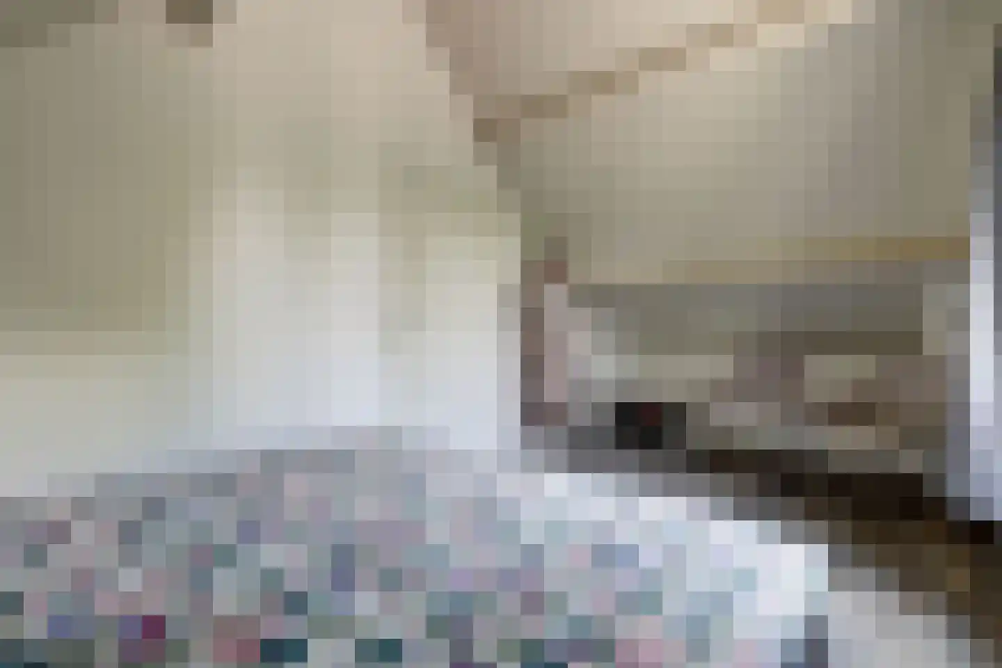 Lockandsestraat 3 Beers NB thumbnail 31