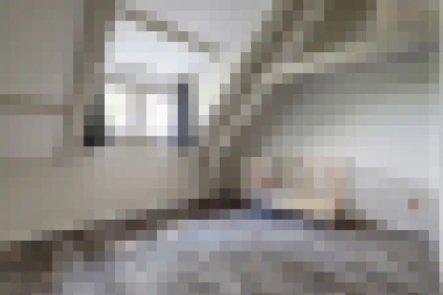 Lockandsestraat 3 Beers NB thumbnail 35