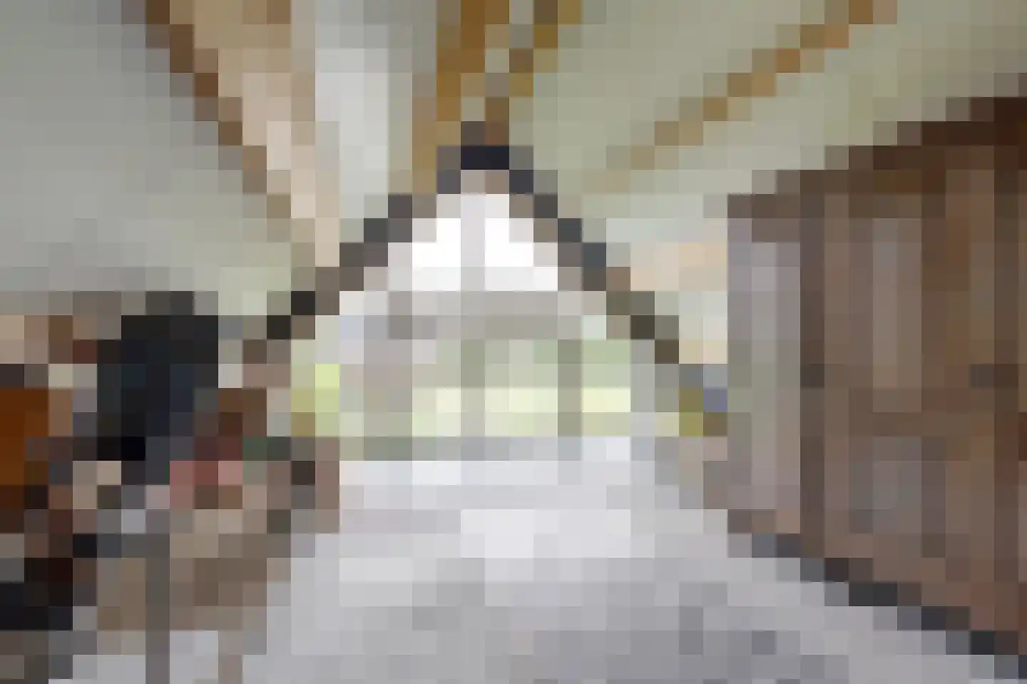 Lockandsestraat 3 Beers NB thumbnail 53