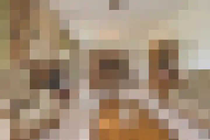 Lockhorstlaan 13 Warmond thumbnail 11