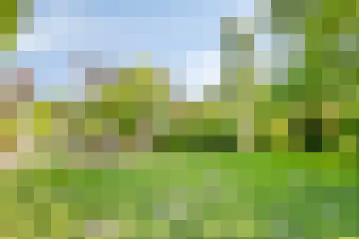 Lockhorstlaan 13 Warmond thumbnail 12