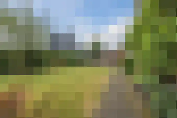 Lockhorstlaan 13 Warmond thumbnail 19