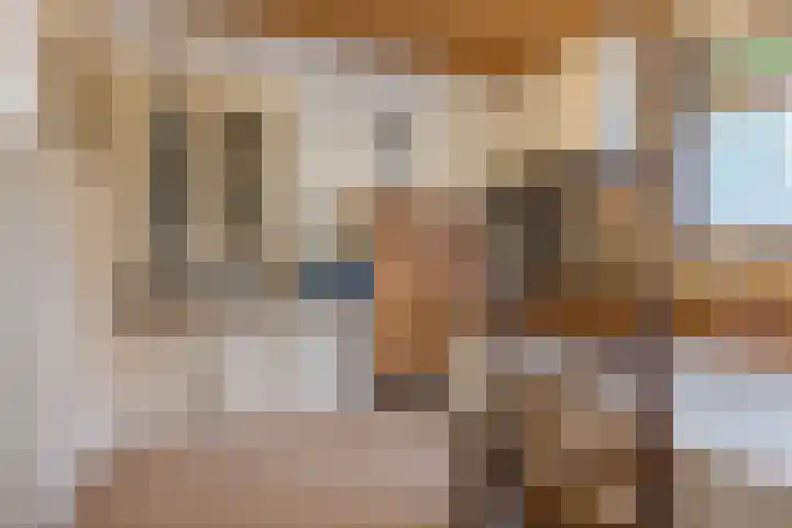 Lockhorstlaan 13 Warmond thumbnail 22