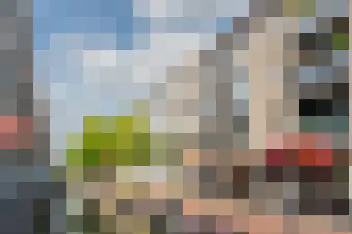 Lockhorstlaan 13 Warmond thumbnail 25