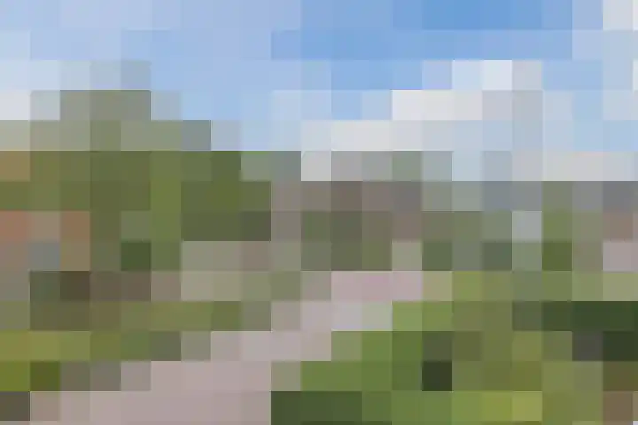 Lockhorstlaan 13 Warmond thumbnail 34