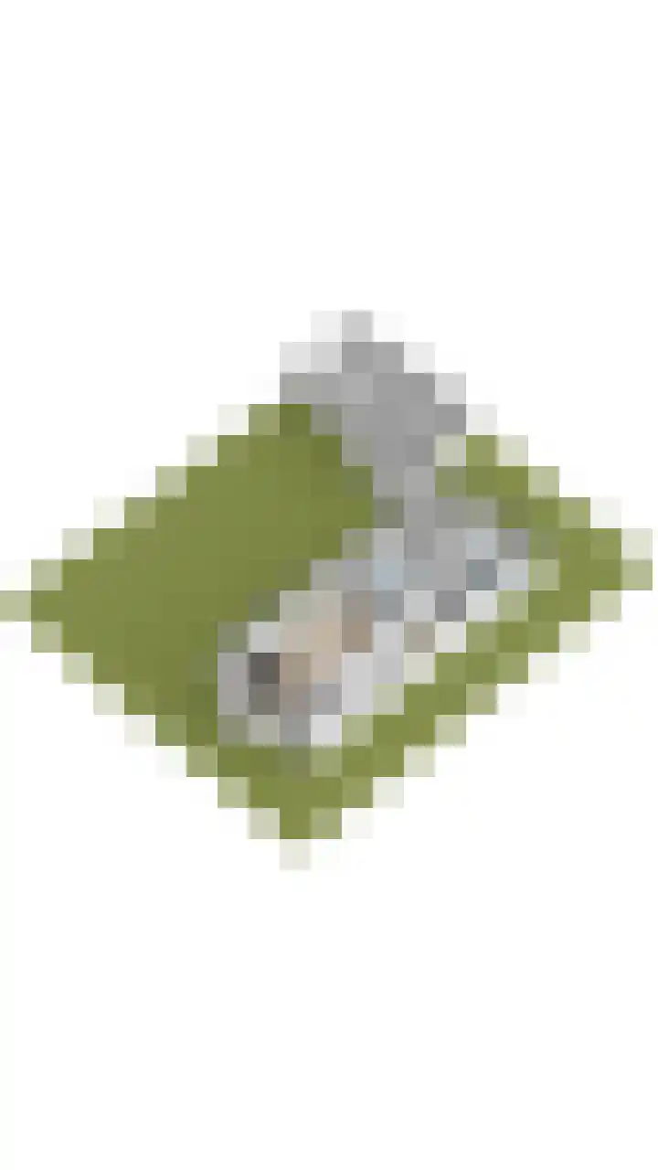 Lockhorstlaan 13 Warmond thumbnail 59