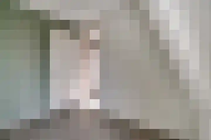 Lockhorststraat 6 n Didam thumbnail 11