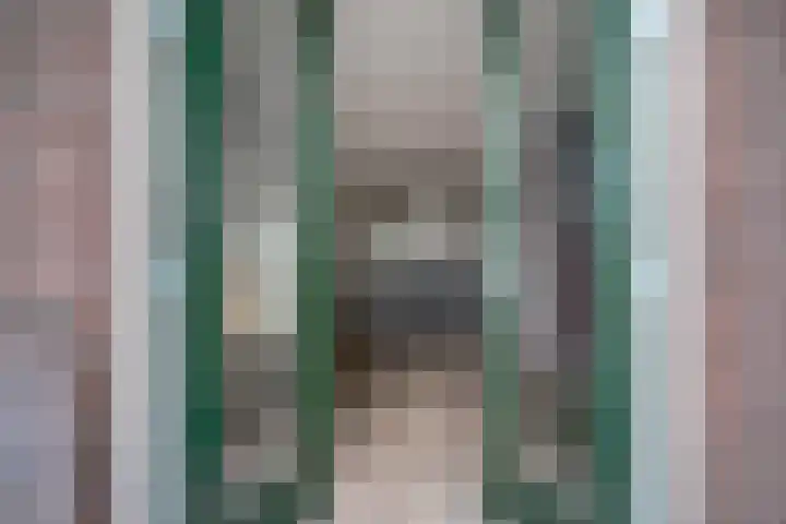 Lockhorststraat 6 n Didam thumbnail 9