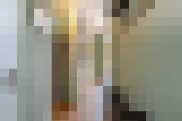 Locksweer 1 Sliedrecht thumbnail 11