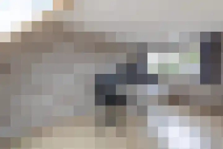 Locksweer 1 Sliedrecht thumbnail 21