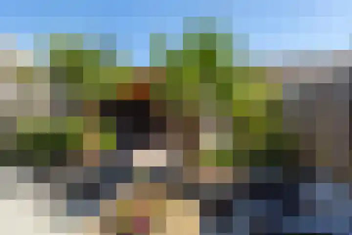 Locksweer 1 Sliedrecht thumbnail 24