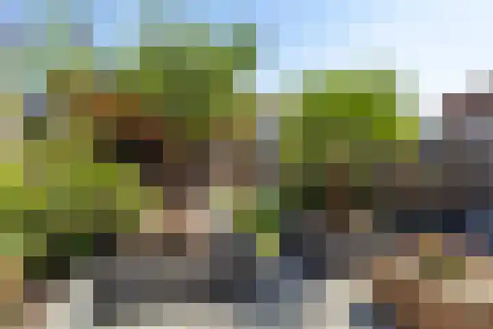 Locksweer 1 Sliedrecht thumbnail 25