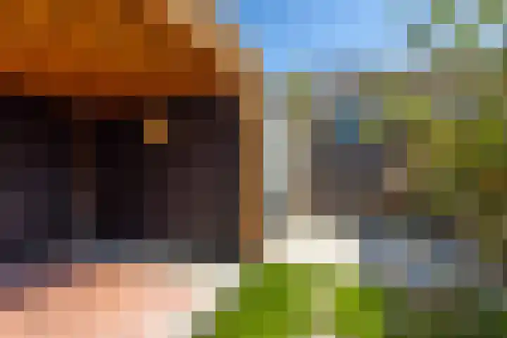 Locksweer 1 Sliedrecht thumbnail 26
