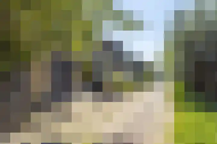 Locksweer 1 Sliedrecht thumbnail 29
