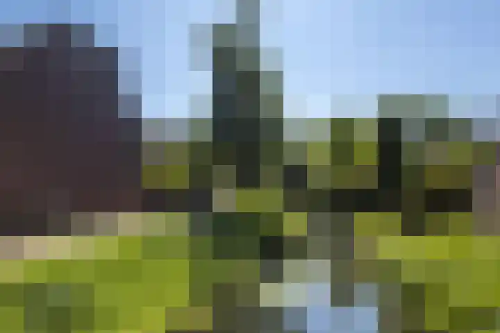 Locksweer 1 Sliedrecht thumbnail 30
