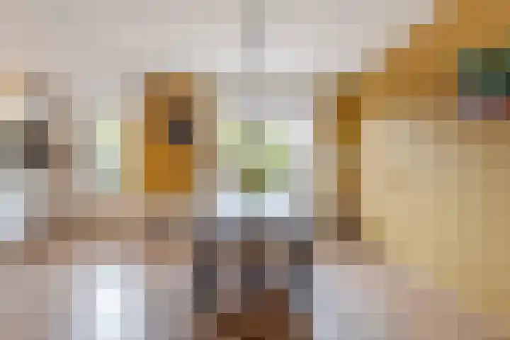 Locksweer 1 Sliedrecht thumbnail 7