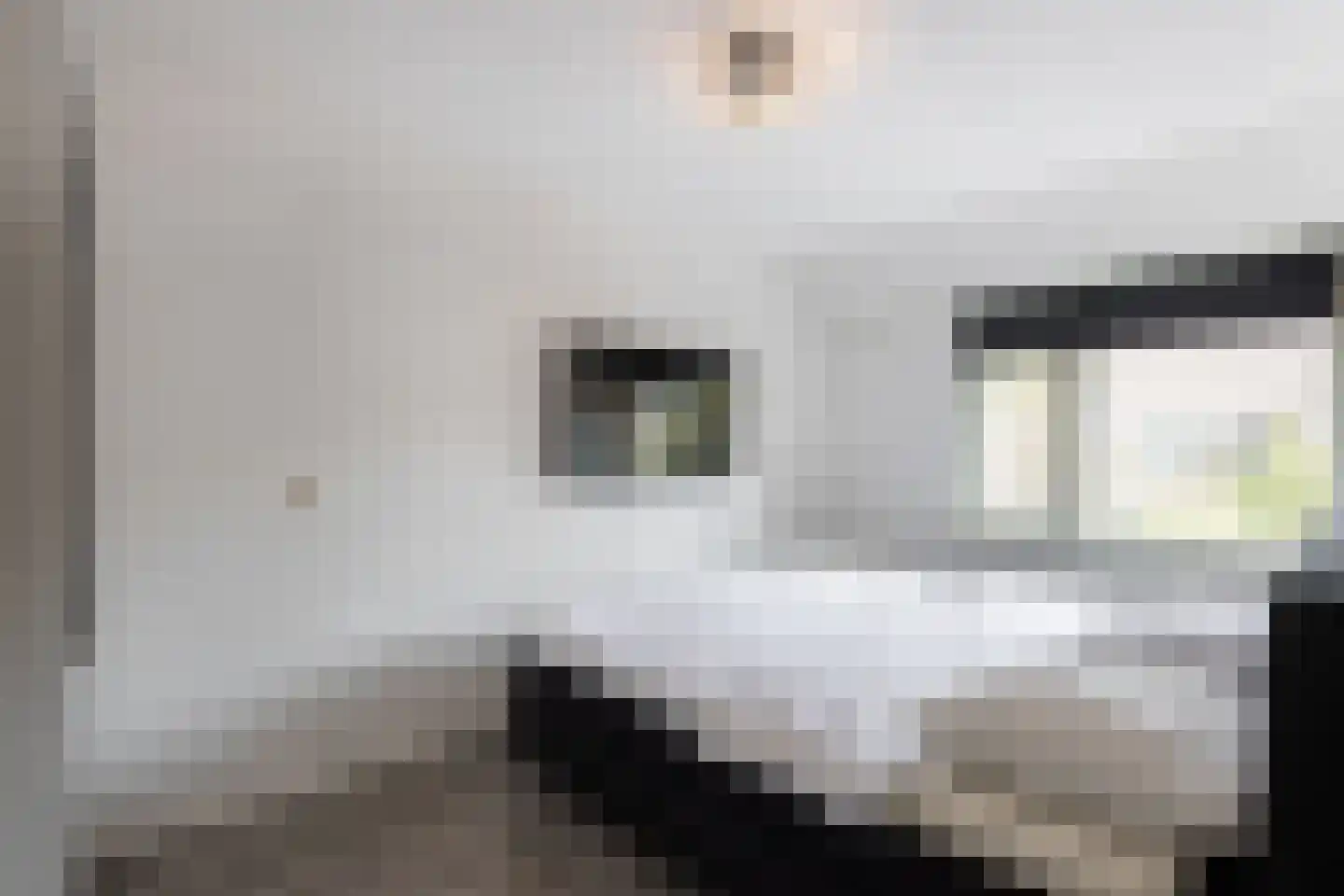 Locksweer 2 Sliedrecht thumbnail 12