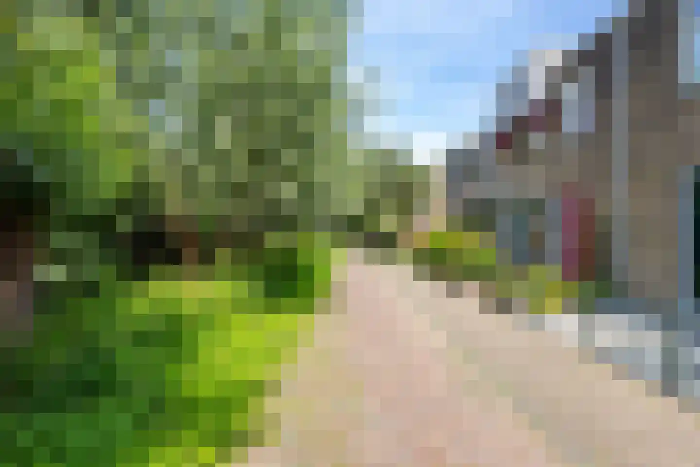 Locksweer 2 Sliedrecht thumbnail 21