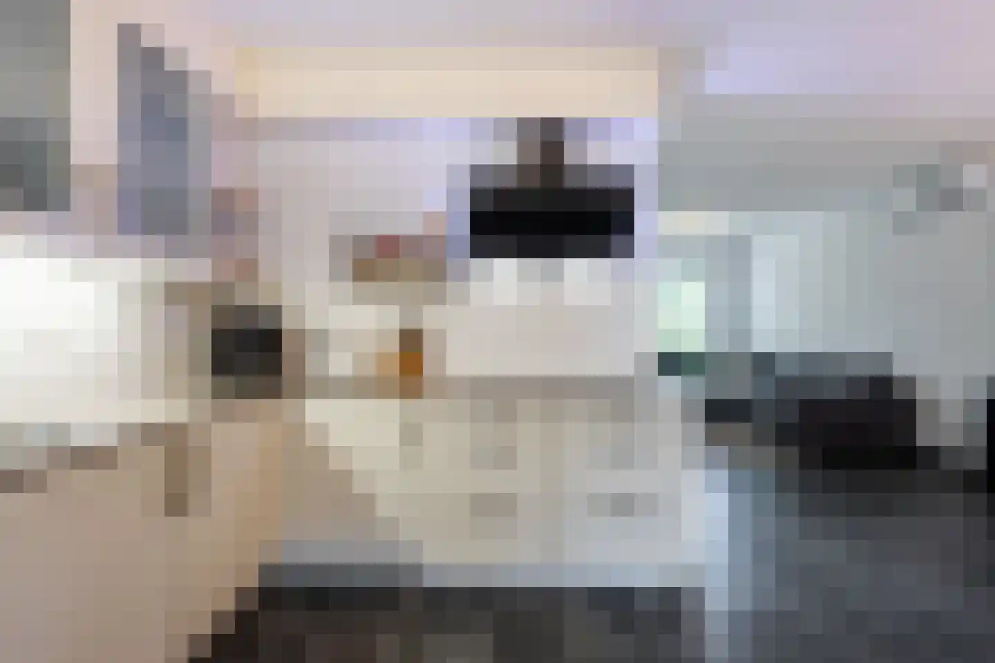 Locksweer 2 Sliedrecht thumbnail 6