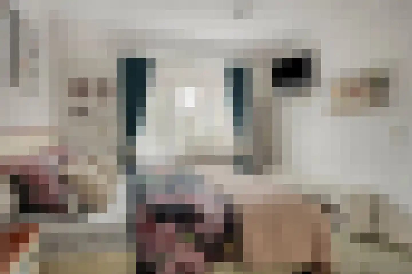 Locksweer 29 Sliedrecht thumbnail 13