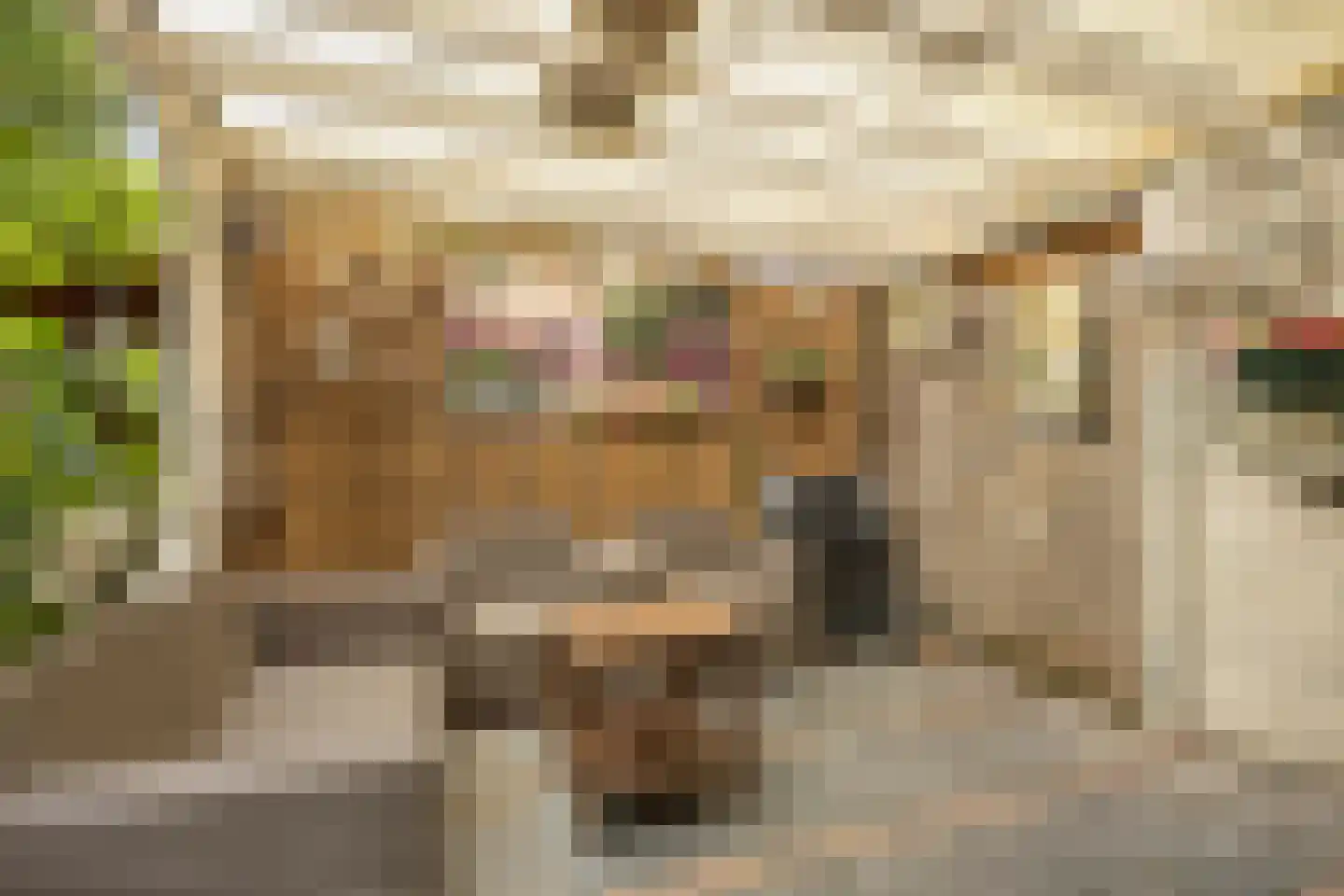 Locksweer 29 Sliedrecht thumbnail 25