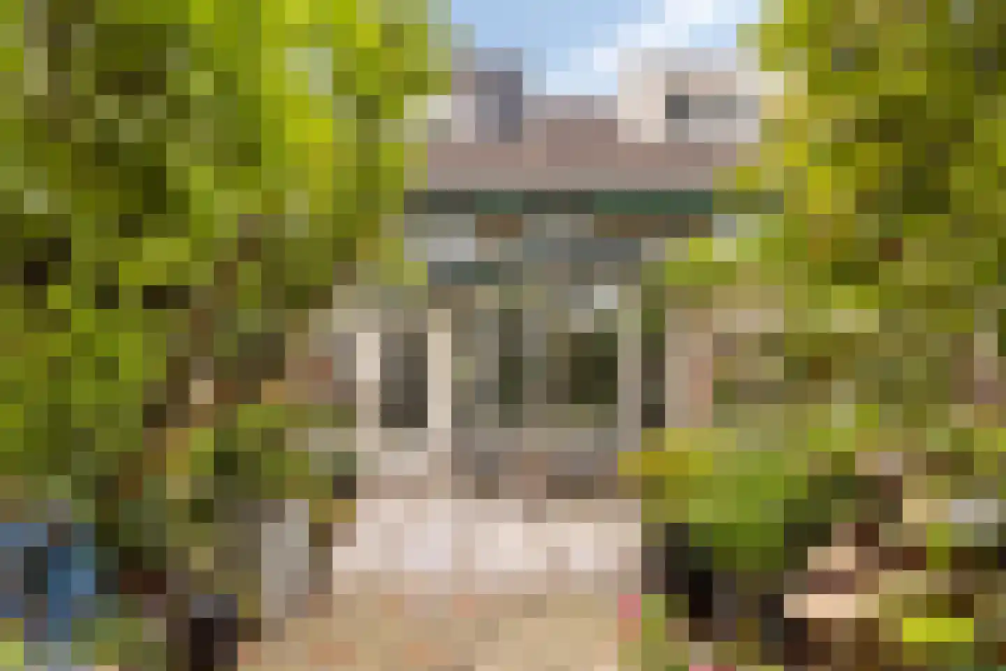 Locksweer 29 Sliedrecht thumbnail 26