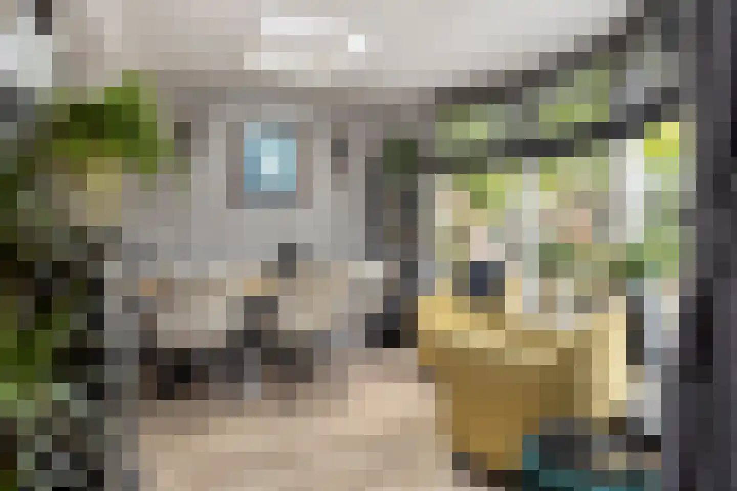 Locksweer 29 Sliedrecht thumbnail 6