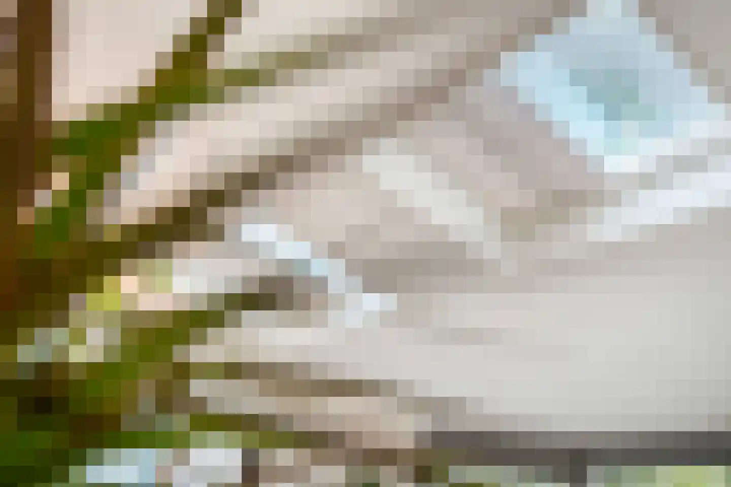 Locksweer 29 Sliedrecht thumbnail 8