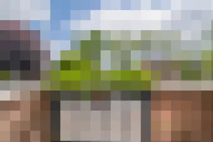 Locomobielstraat 20 Veendam thumbnail 27