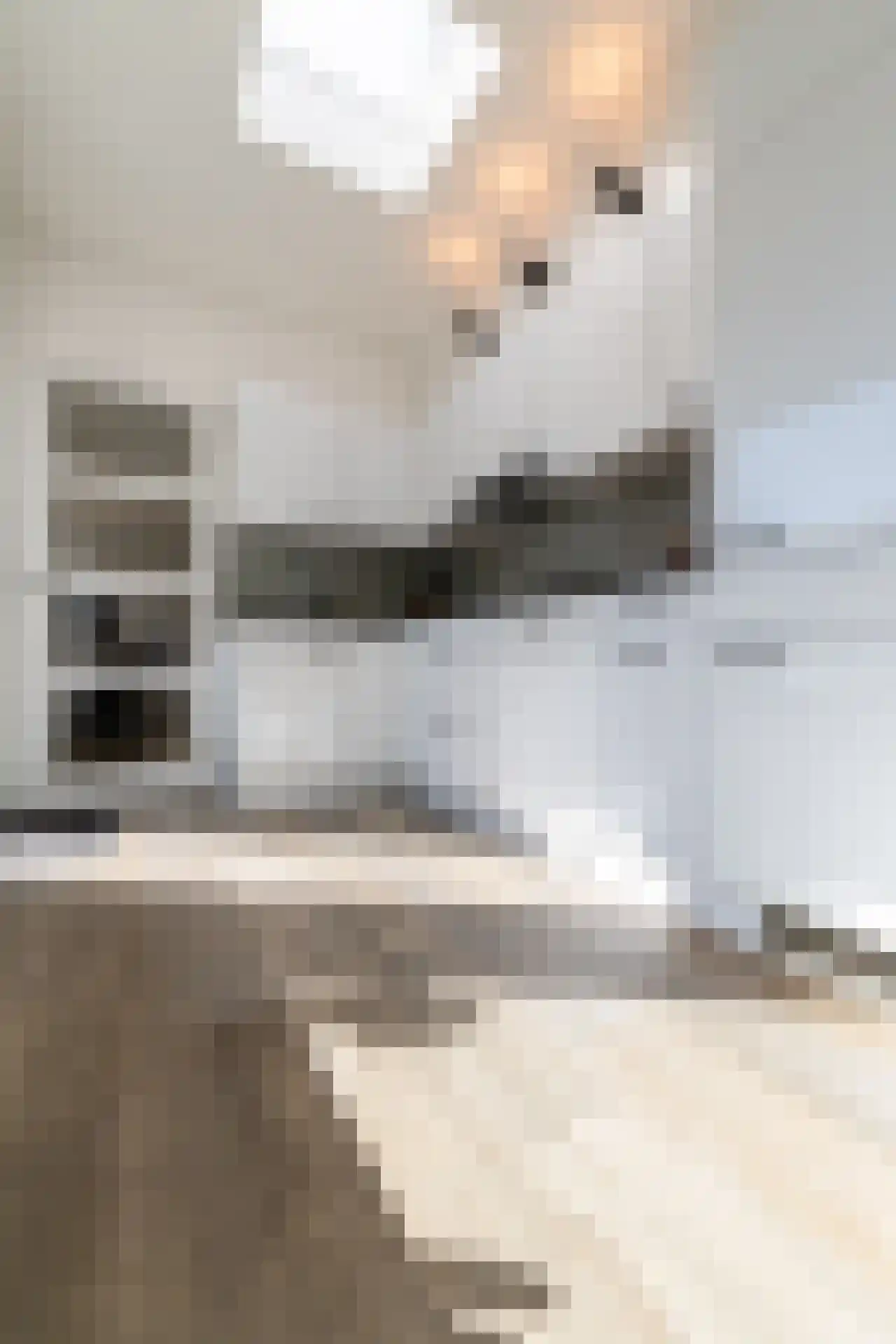 Locomotiefstraat 45 Eindhoven thumbnail 20