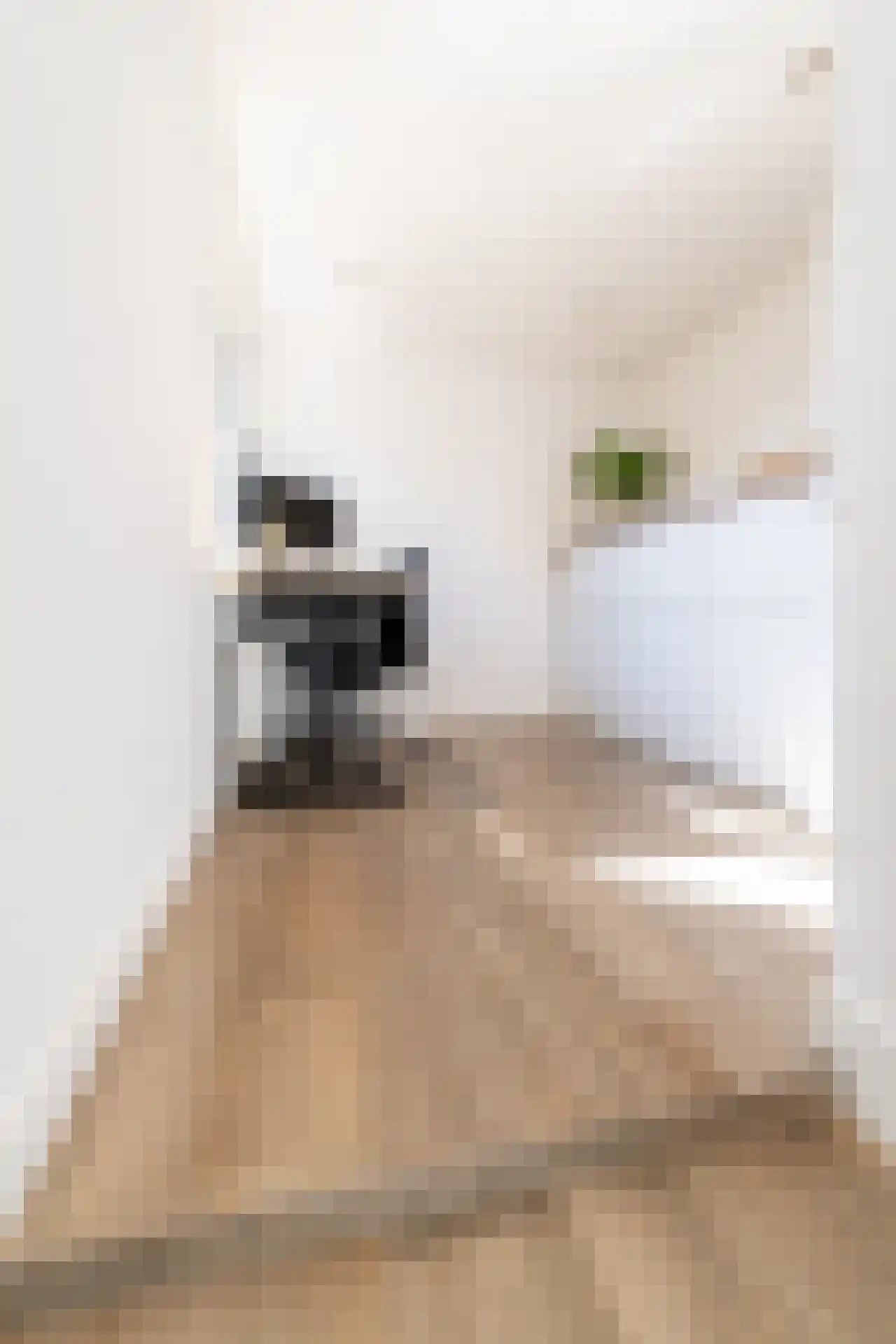 Locomotiefstraat 45 Eindhoven thumbnail 23