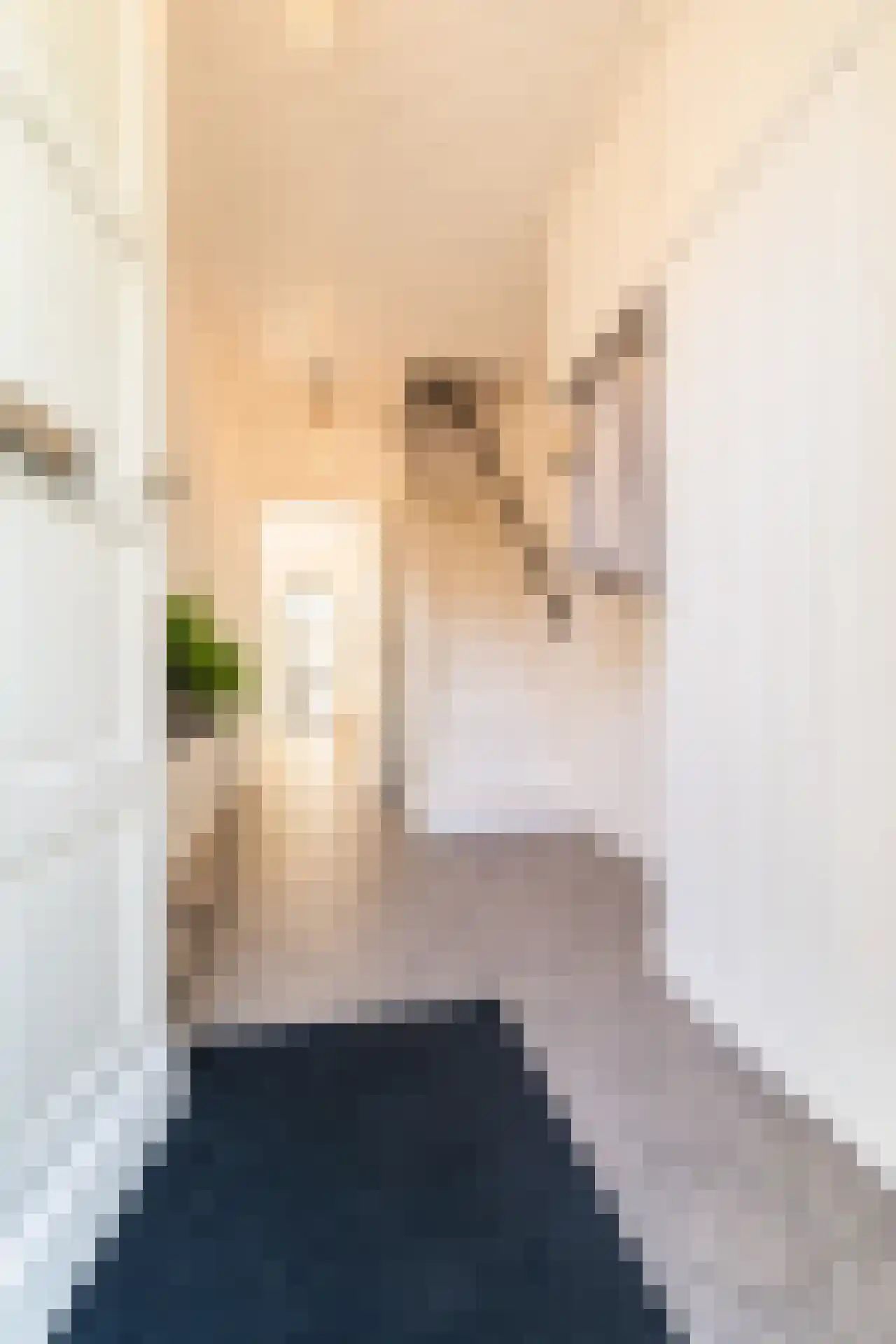 Locomotiefstraat 45 Eindhoven thumbnail 4