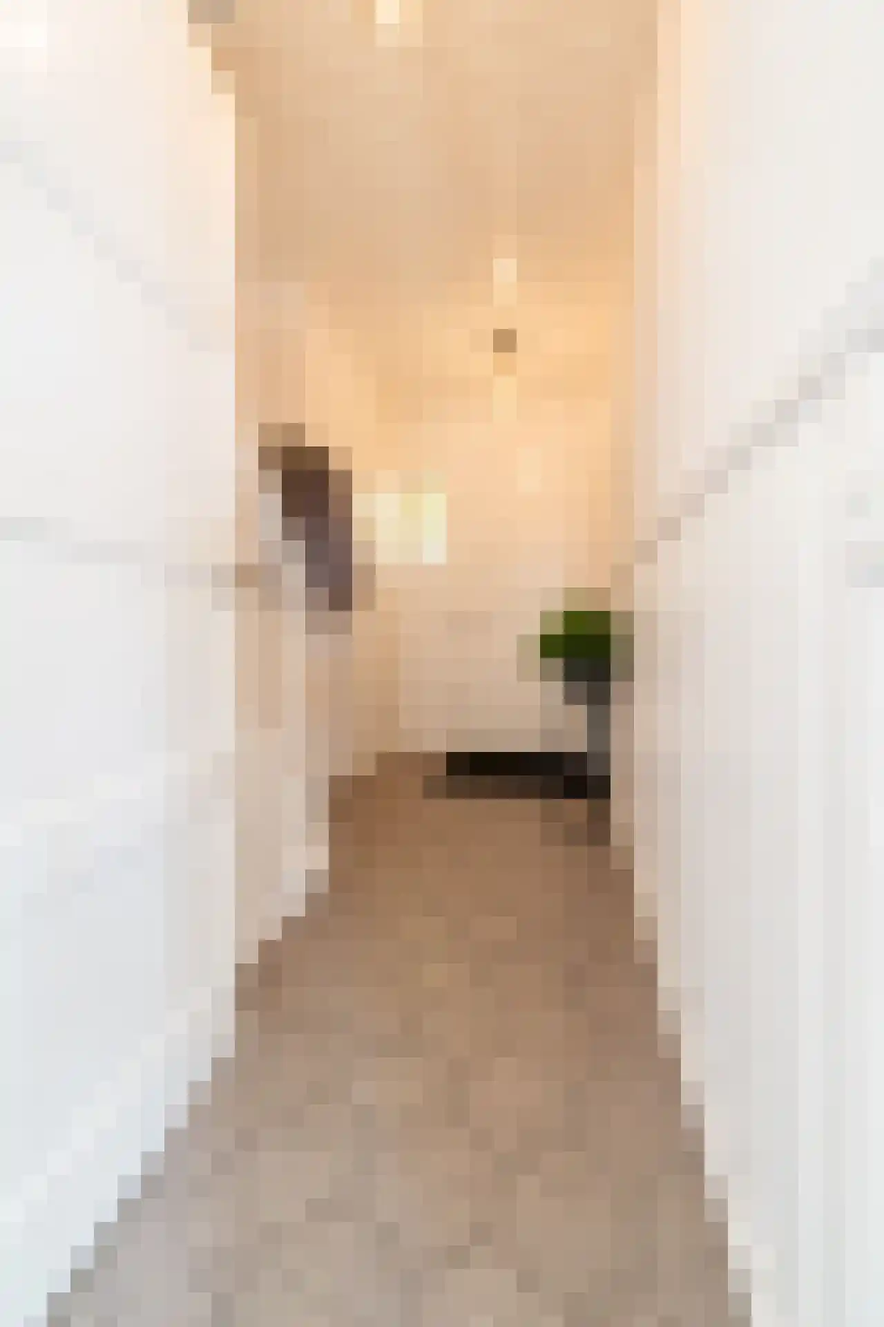 Locomotiefstraat 45 Eindhoven thumbnail 5