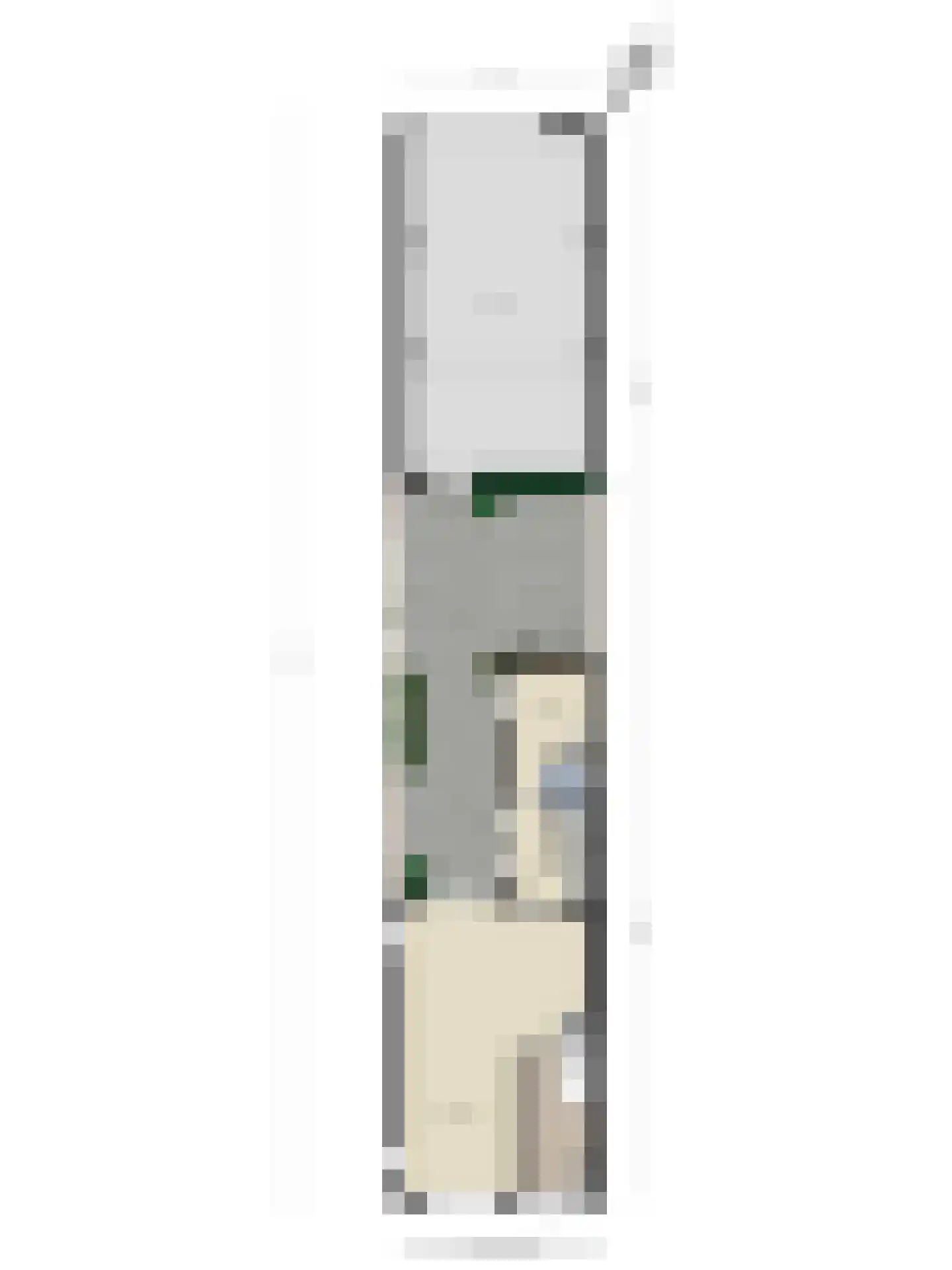Locomotiefstraat 45 Eindhoven thumbnail 62